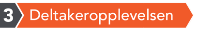 3. Deltakeropplevelsen 3. Deltakeropplevelsen