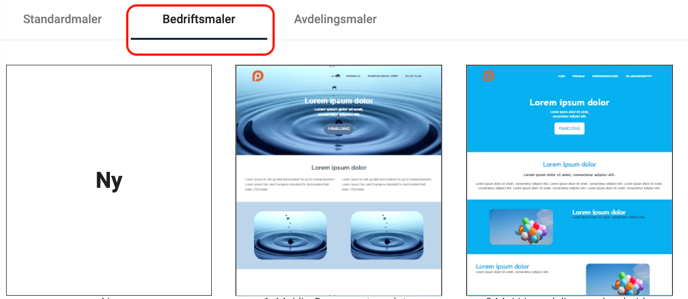 Skjermbilde 2024-03-22 kl. 18.33.15